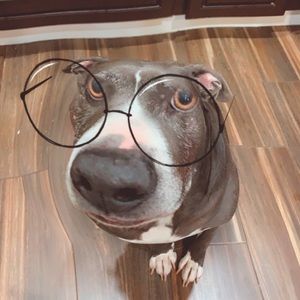 Meet your Posher, Serena